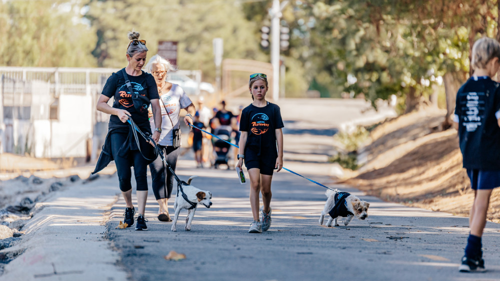 Volunteers walking with pets on path