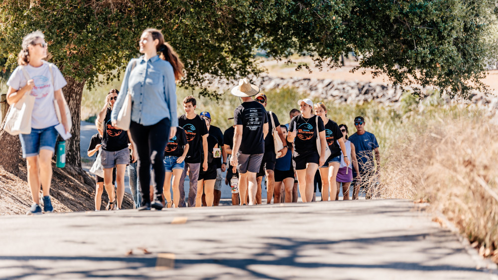 Volunteers walking on park path