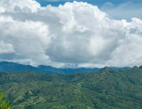 Points of Prayer, Part 3