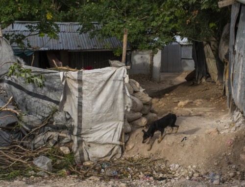 Effects of War, Part 3